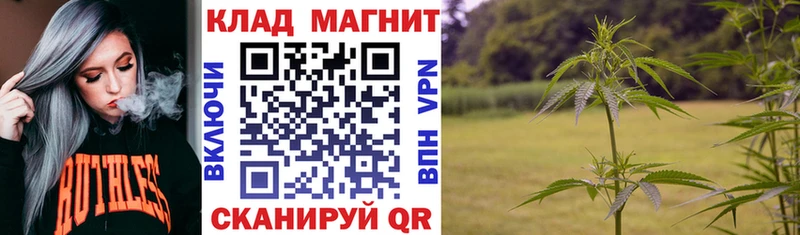 Наркота Находка Галлюциногенные грибы Конопля Меф мяу мяу АМФ ГАШИШ COCAIN