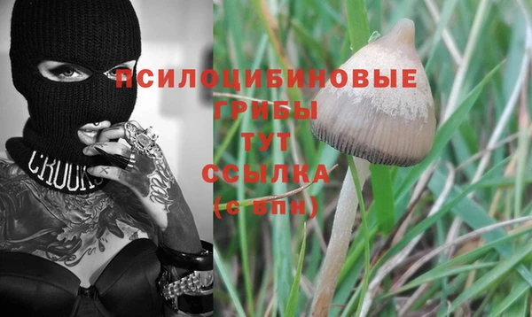 COCAINE Вязьма