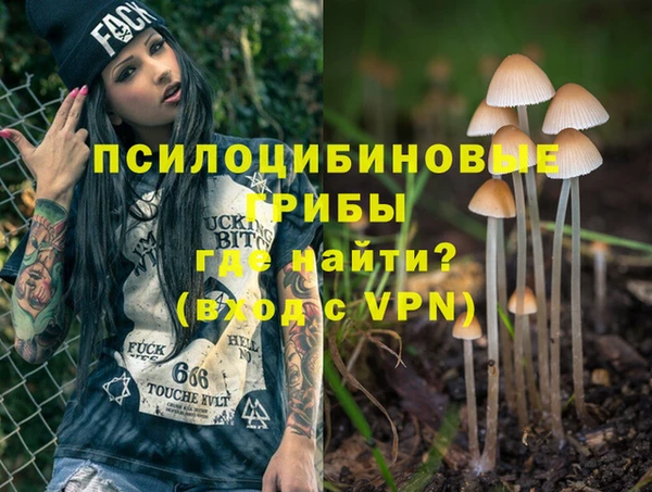 мескалин Вяземский