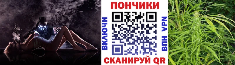 дарнет шоп Находка МАРИХУАНА план